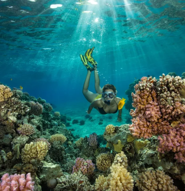 Sharm El Naga - Coral Nature Reserve