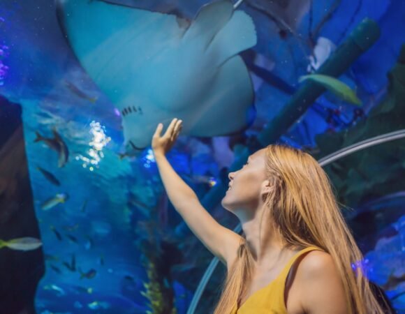 Гранд Аквариум