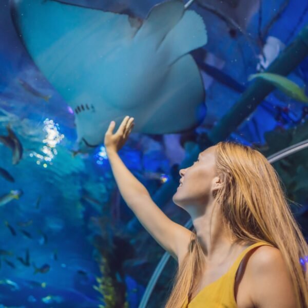 Гранд Аквариум