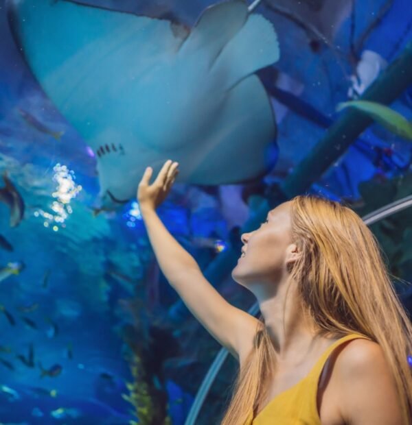 Grand Aquarium