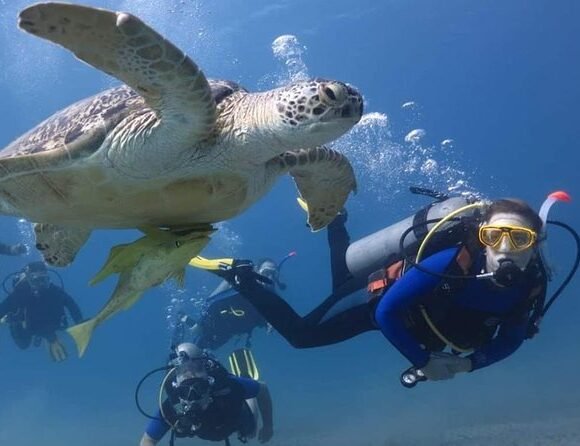 Дайвинг в Хургаде